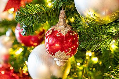 《绿色地狱VR》11月30日上线免费DLC 可游玩15小时左右